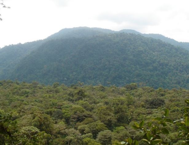 Reserva Natural de Kunkup